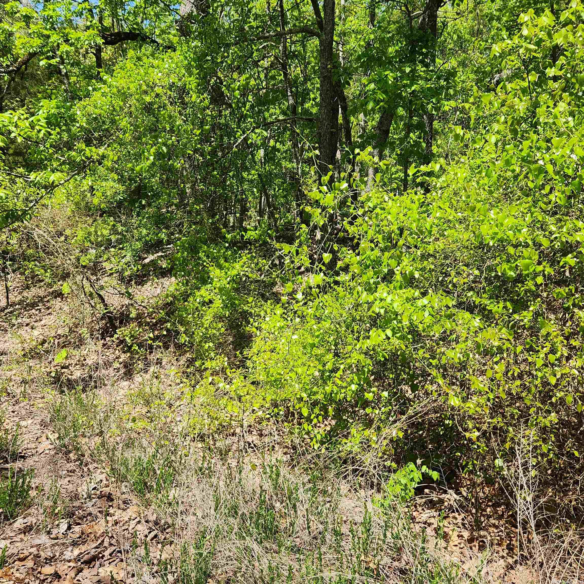 Photo 5 - Vacant Land for sale – L-65 B-1  Kayenta   Cherokee Village, AR