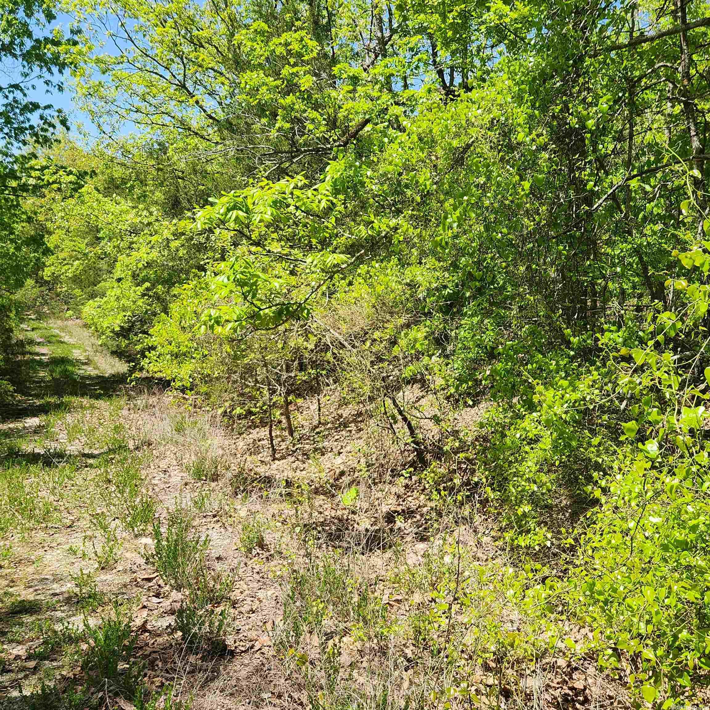Photo 6 - Vacant Land for sale – L-65 B-1  Kayenta   Cherokee Village, AR