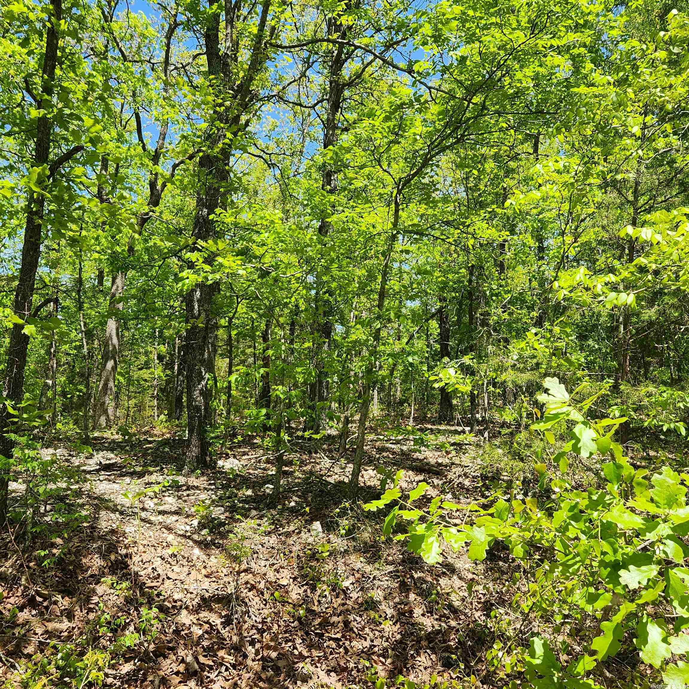 Photo 7 - Vacant Land for sale – L-65 B-1  Kayenta   Cherokee Village, AR