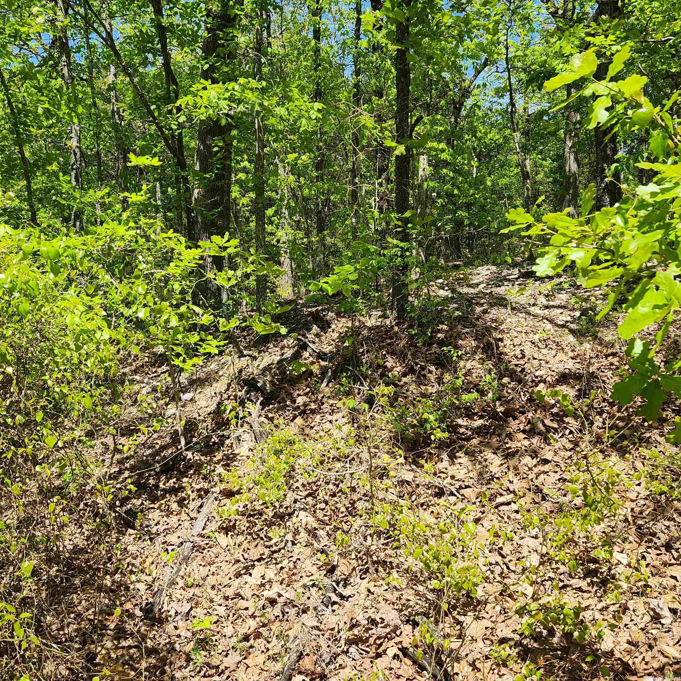 Photo 8 - Vacant Land for sale – L-65 B-1  Kayenta   Cherokee Village, AR