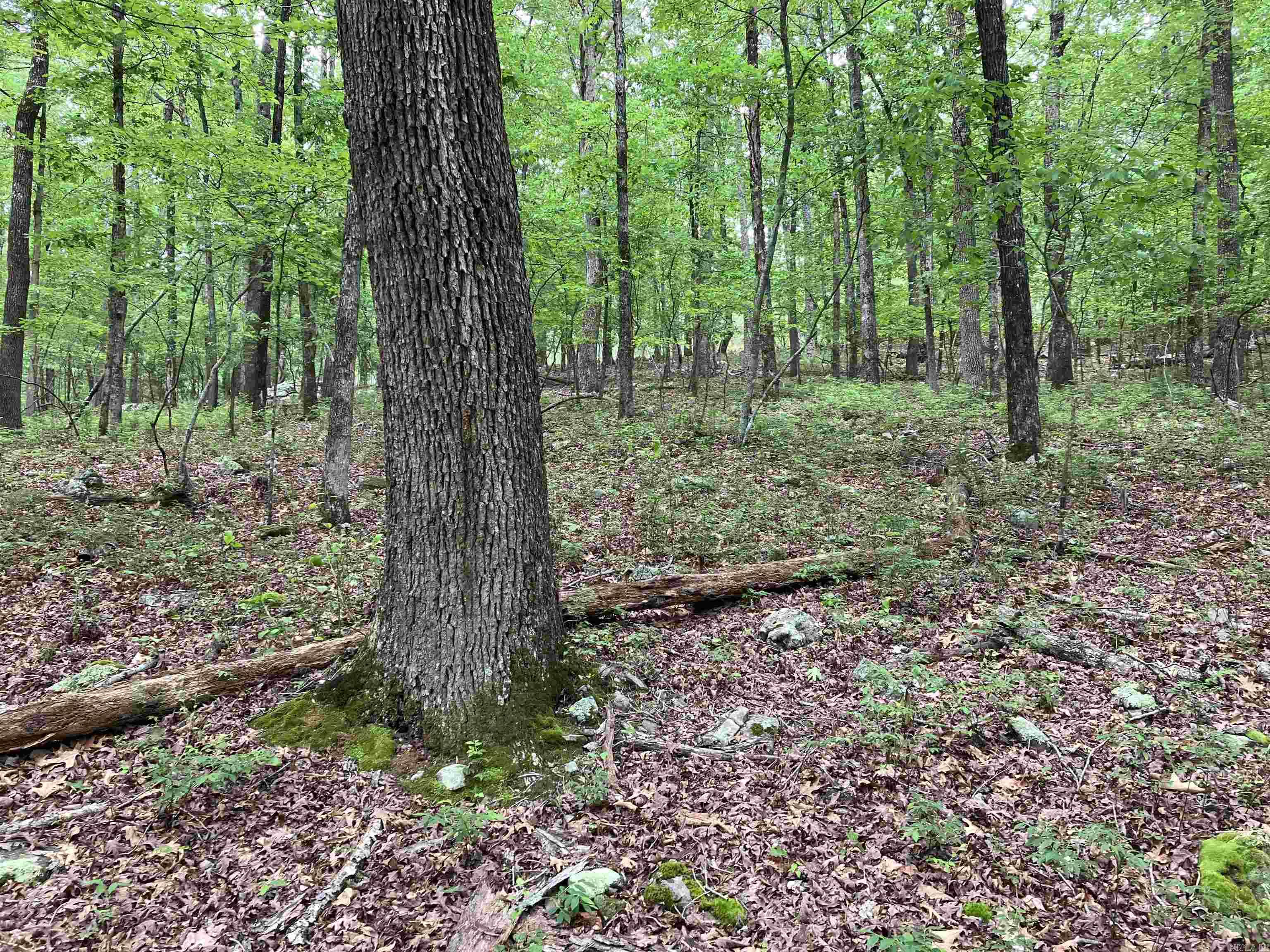 Vacant Land for sale – Lot 1 Blk 4  Almonte Way   Hot Springs Village, AR