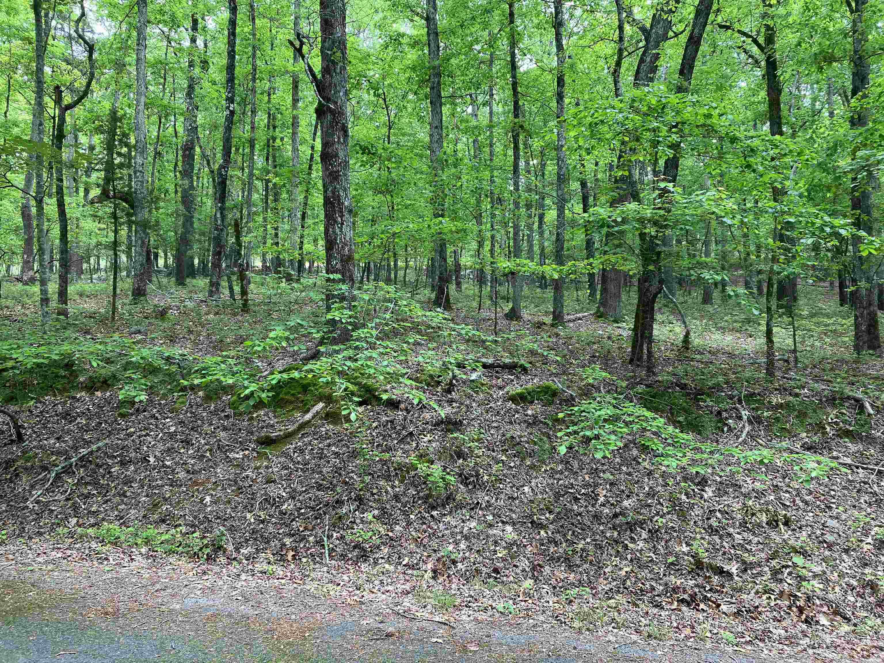 Photo 2 - Vacant Land for sale – Lot 1 Blk 4  Almonte Way   Hot Springs Village, AR