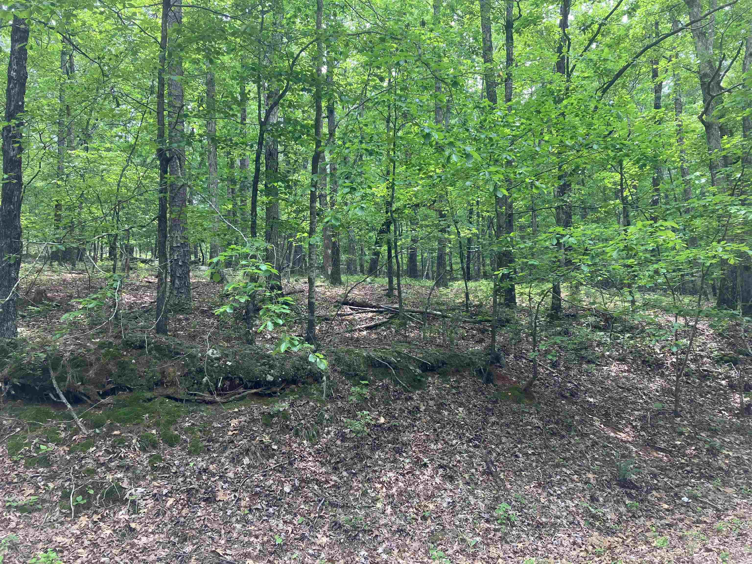 Photo 3 - Vacant Land for sale – Lot 1 Blk 4  Almonte Way   Hot Springs Village, AR