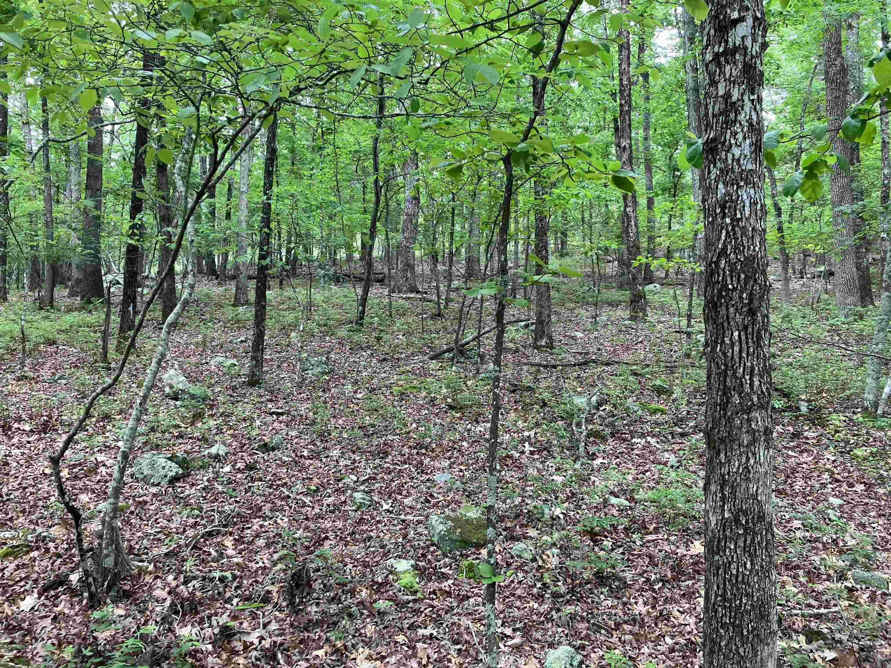 Photo 5 - Vacant Land for sale – Lot 1 Blk 4  Almonte Way   Hot Springs Village, AR