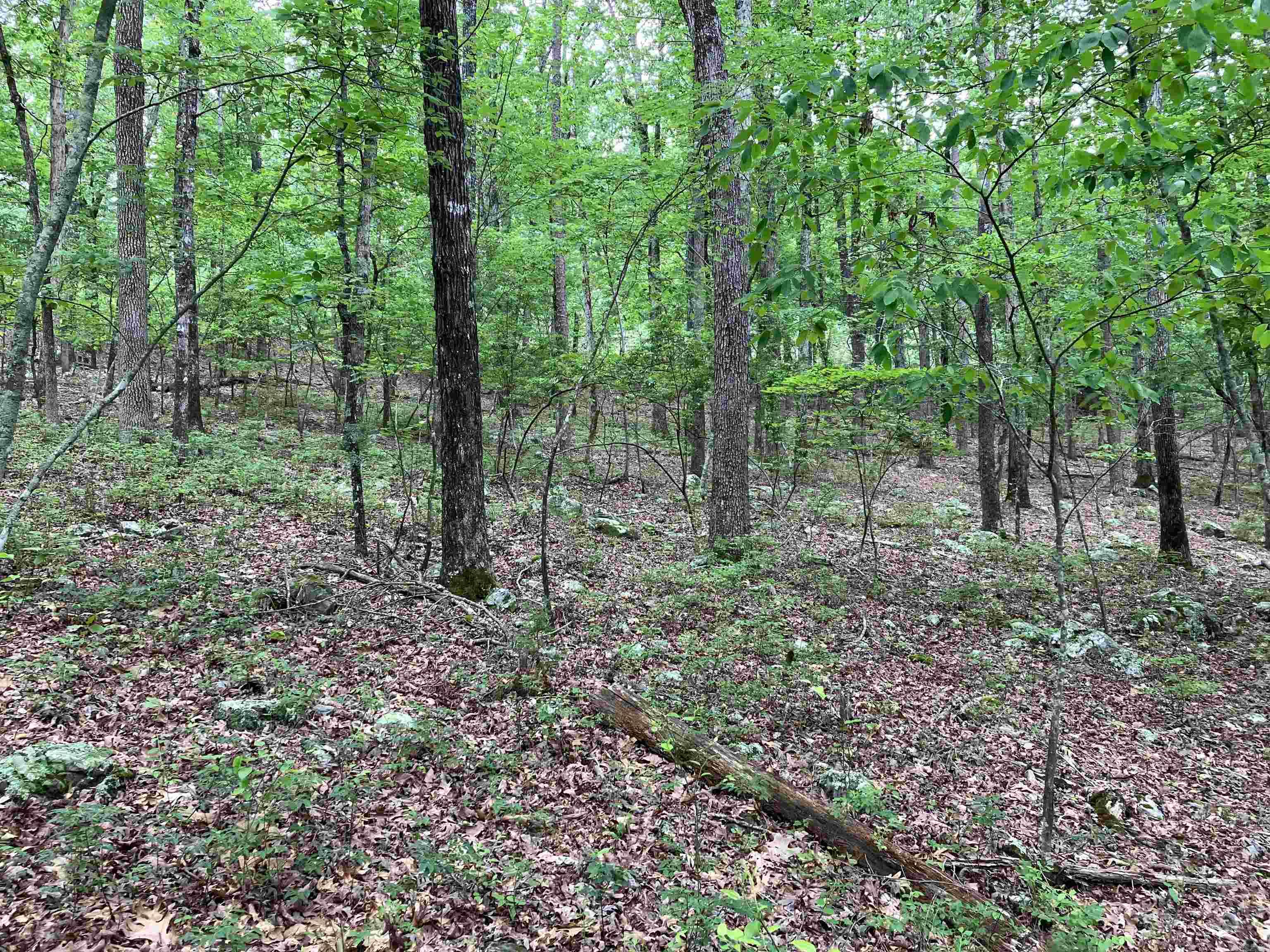 Photo 6 - Vacant Land for sale – Lot 1 Blk 4  Almonte Way   Hot Springs Village, AR