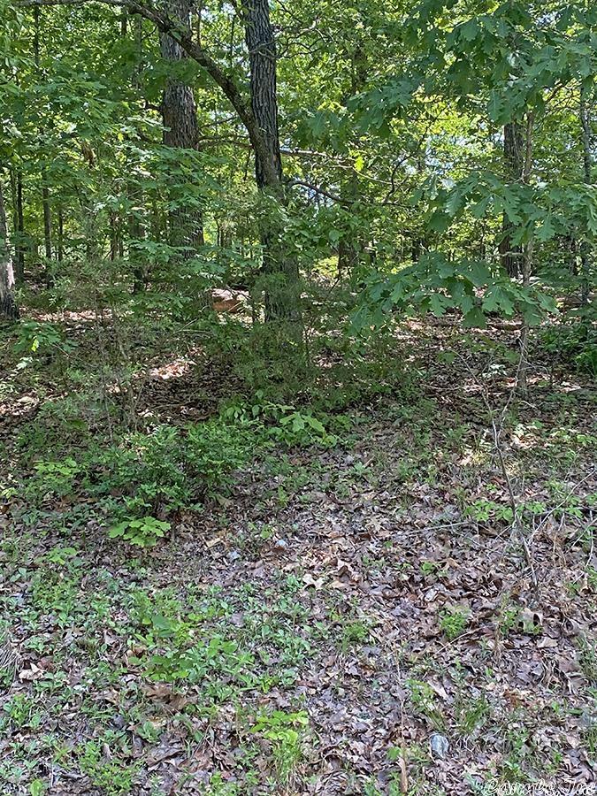 Photo 3 - Vacant Land for sale –   Alamo   Cherokee Village, AR