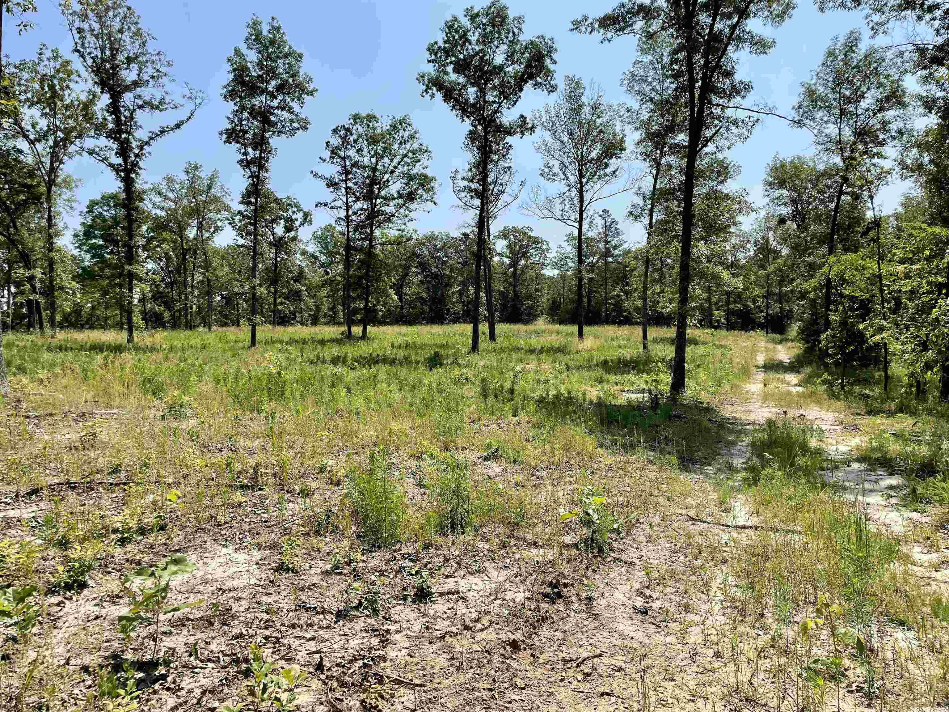 6365 Knob Creek Road Melbourne, AR 72556 MLS 23016944