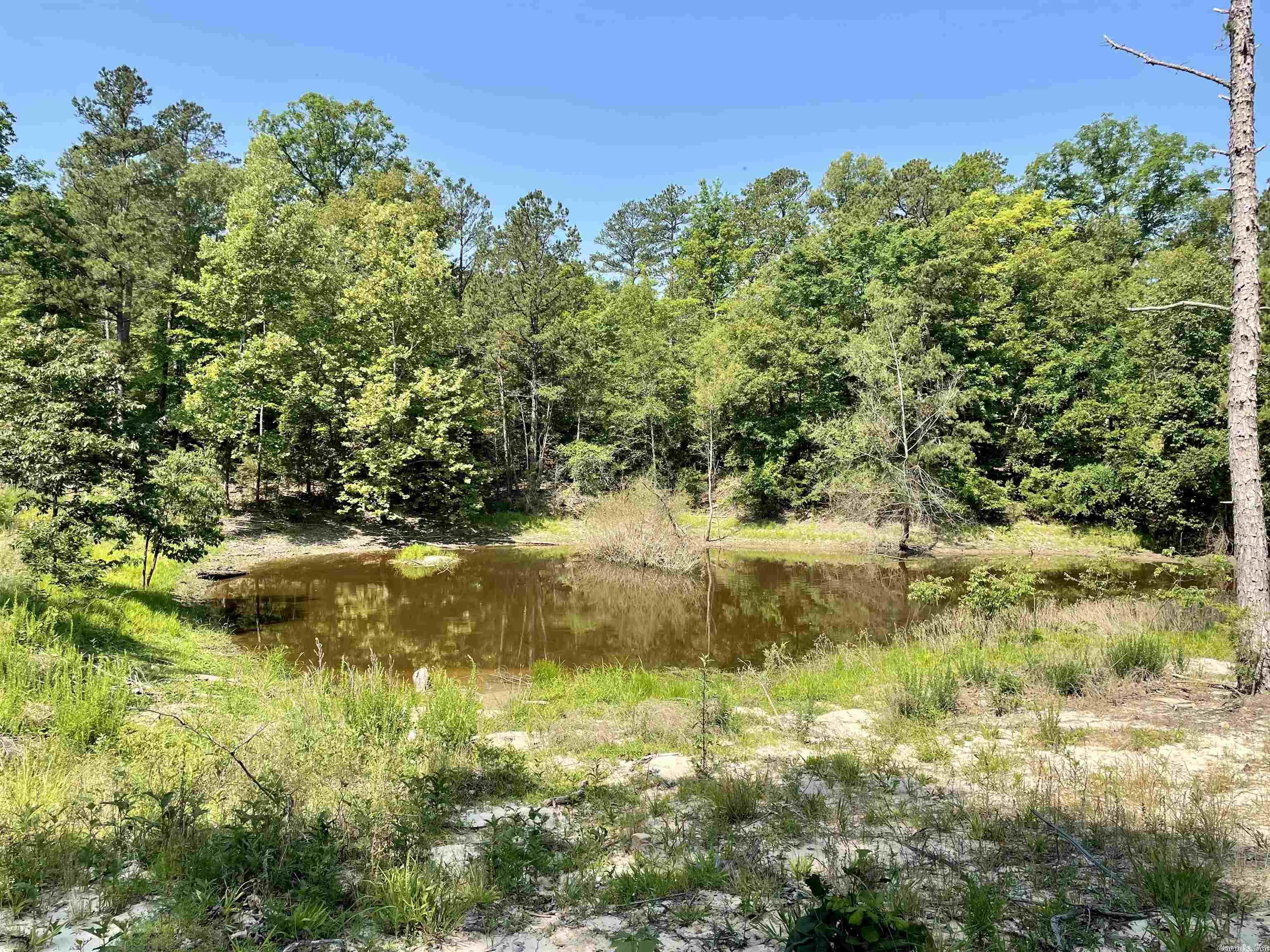 6365 Knob Creek Road Melbourne, AR 72556 MLS 23016944