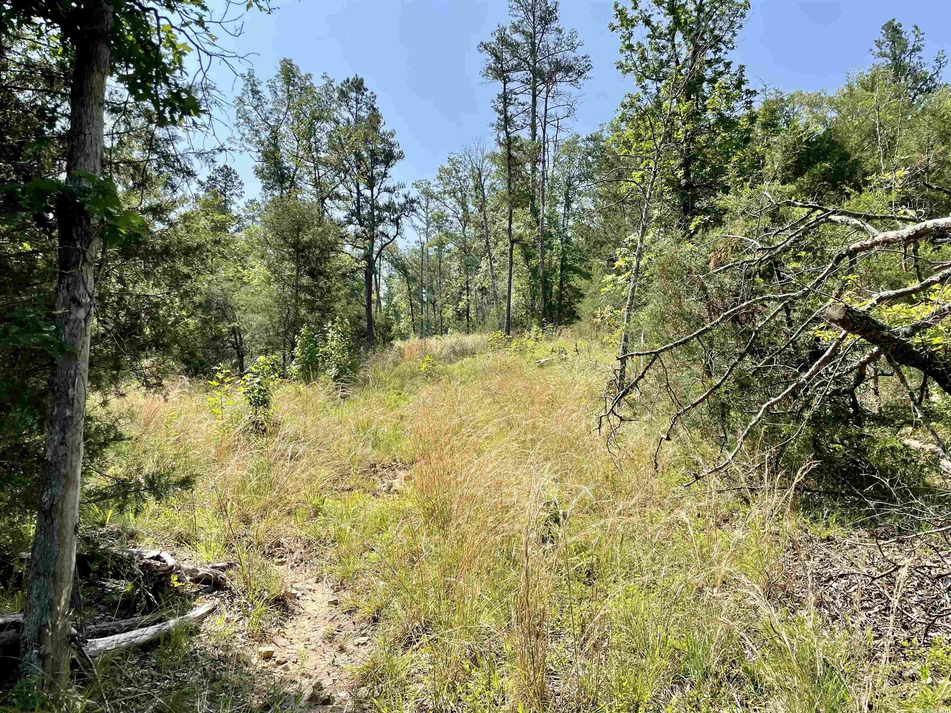 6365 Knob Creek Road Melbourne, AR 72556 MLS 23016944