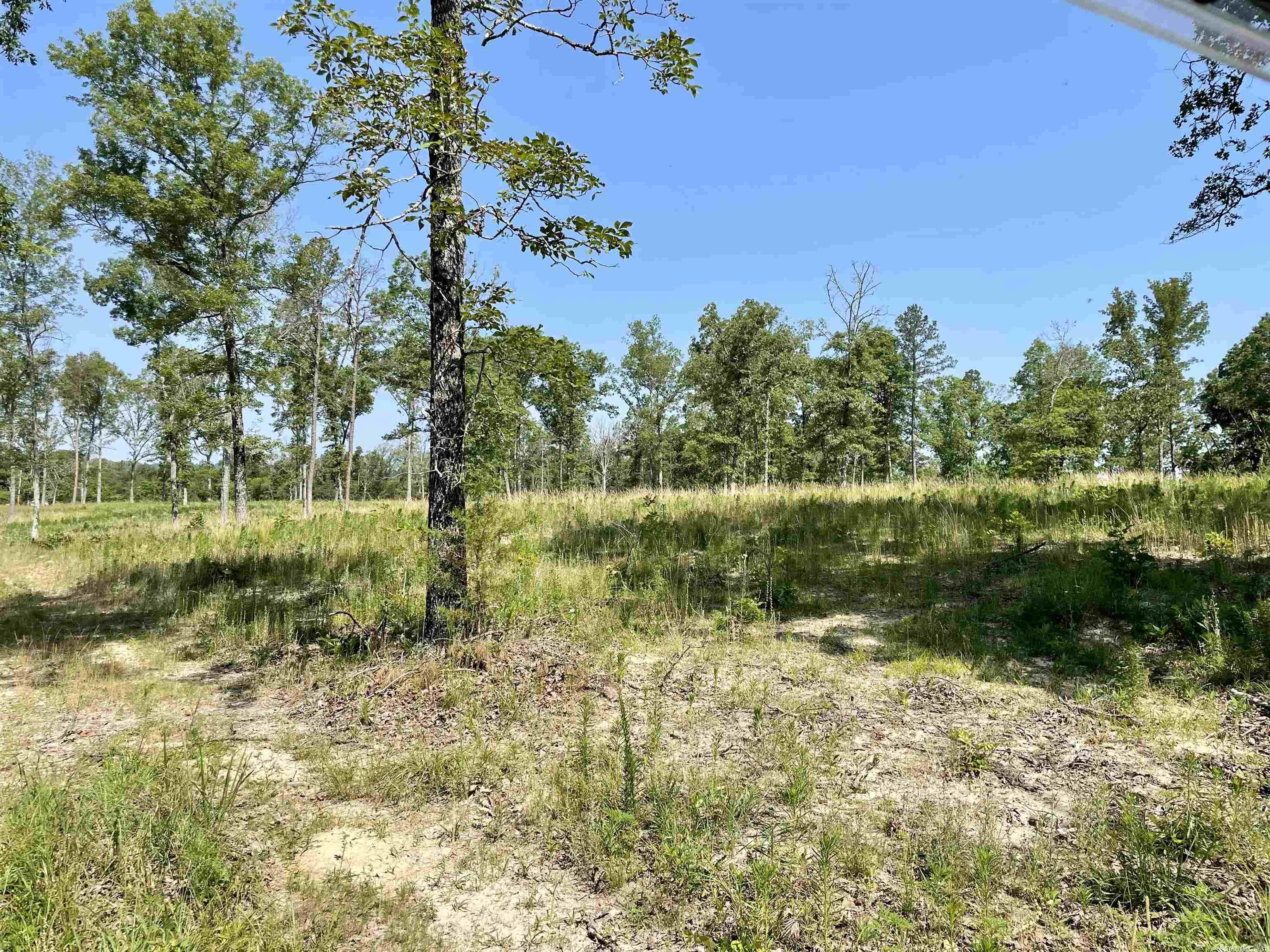 6365 Knob Creek Road Melbourne, AR 72556 MLS 23016944