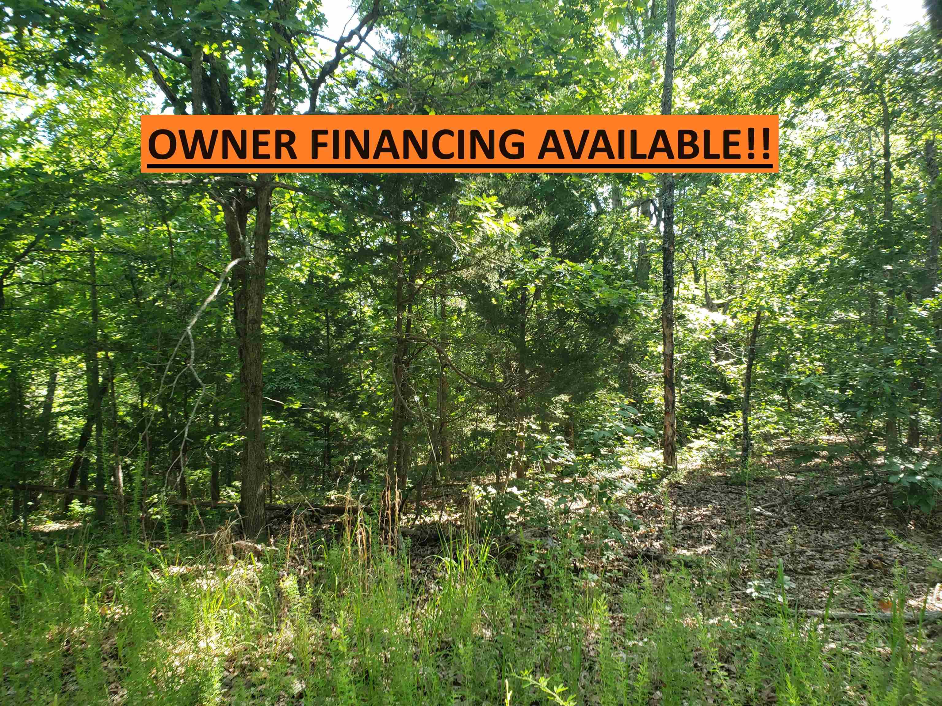 Vacant Land for sale – L-57, B-4  Oho   Cherokee Village, AR