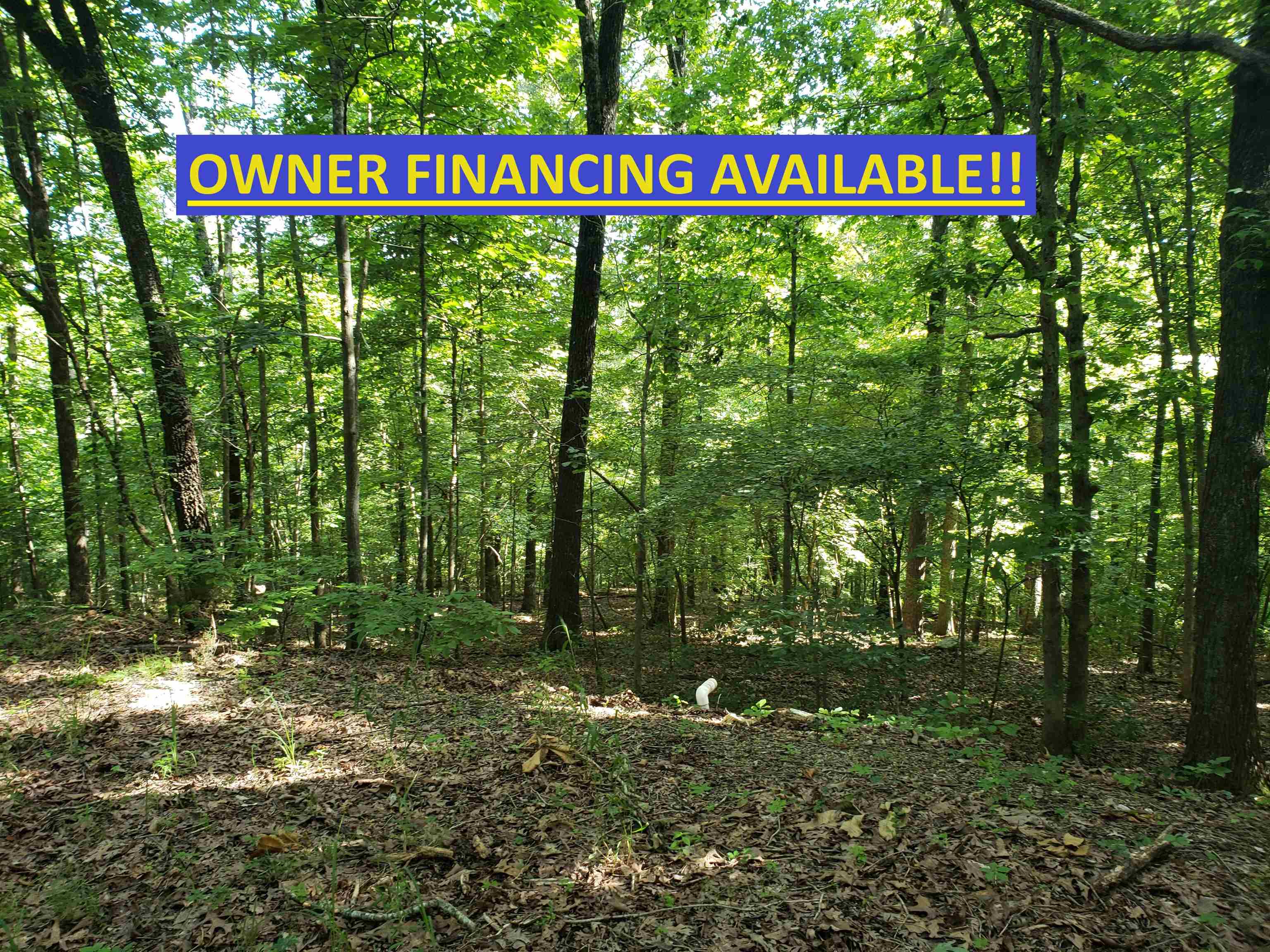Vacant Land for sale – L-8, B-4  Haynie   Cherokee Village, AR