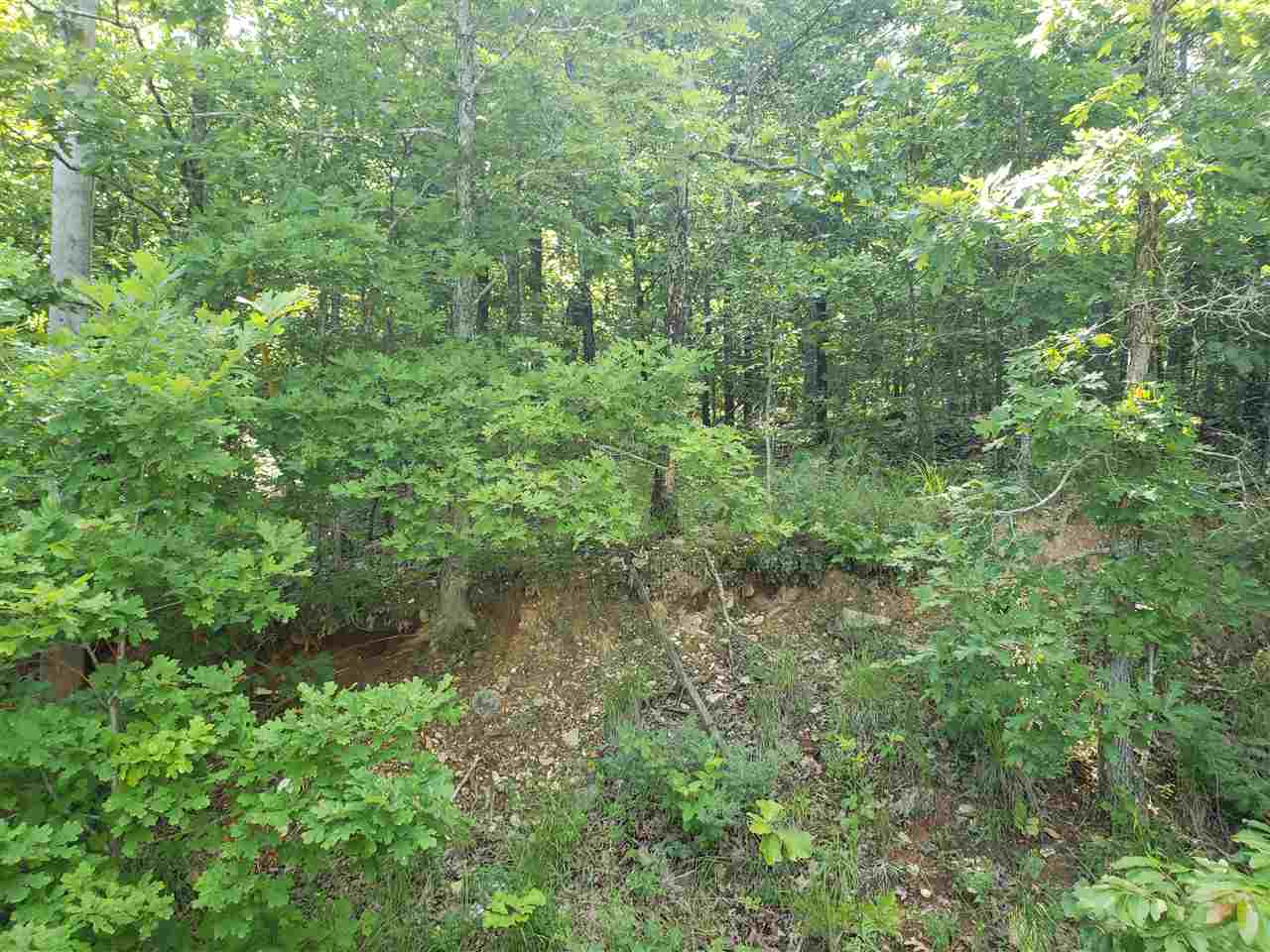 Photo 2 - Vacant Land for sale – L-8, B-4  Haynie   Cherokee Village, AR