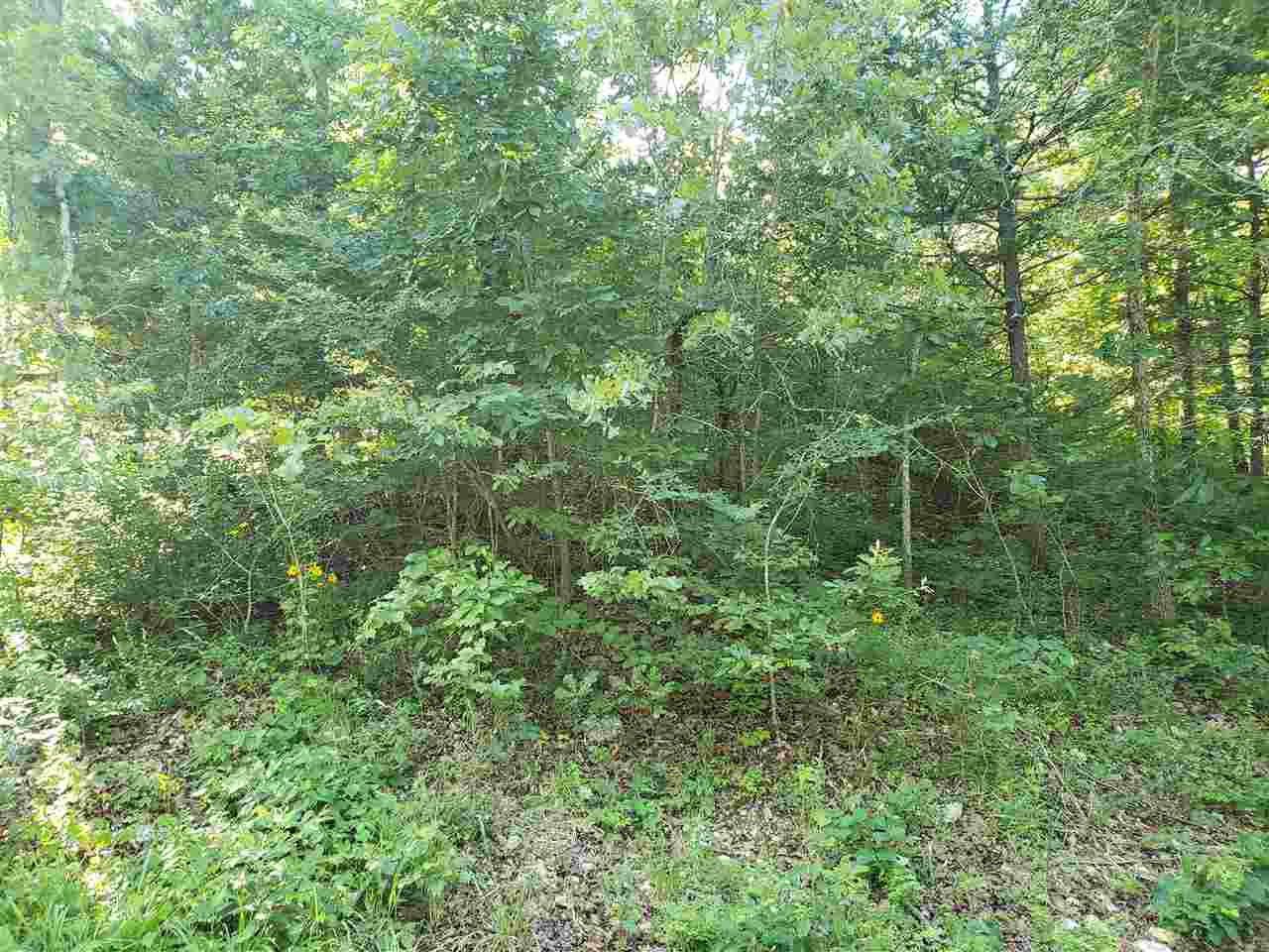 Photo 9 - Vacant Land for sale – L-8, B-4  Haynie   Cherokee Village, AR