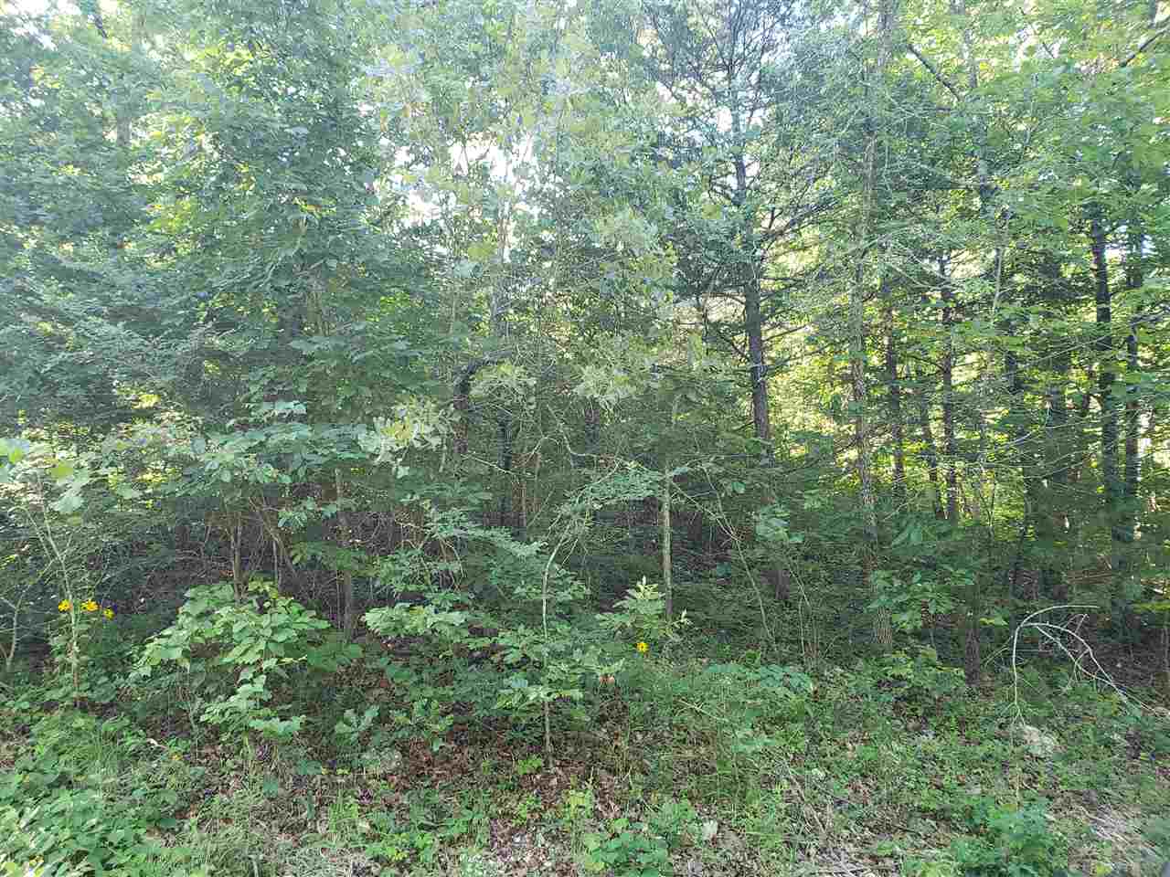 Photo 2 - Vacant Land for sale – L-4, B-2  Wiyot   Cherokee Village, AR
