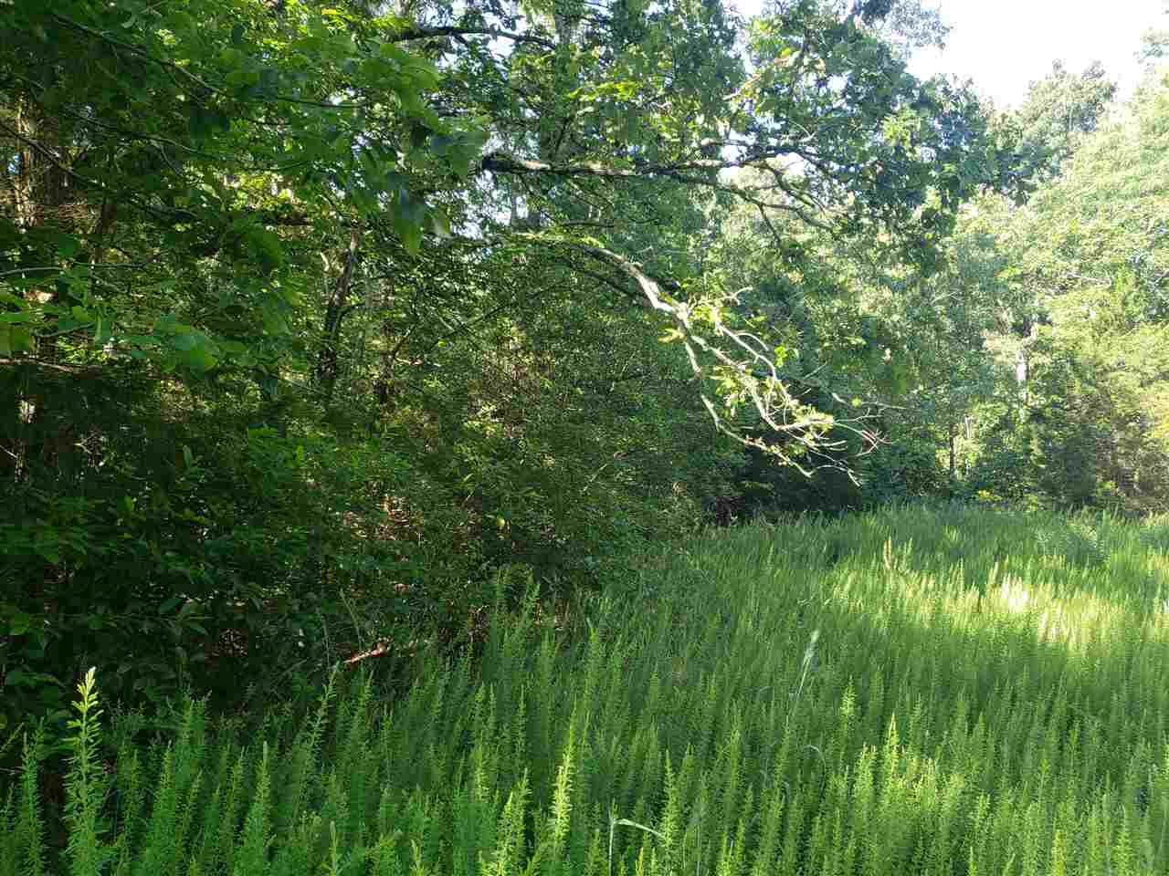 Photo 3 - Vacant Land for sale – L-4, B-2  Wiyot   Cherokee Village, AR