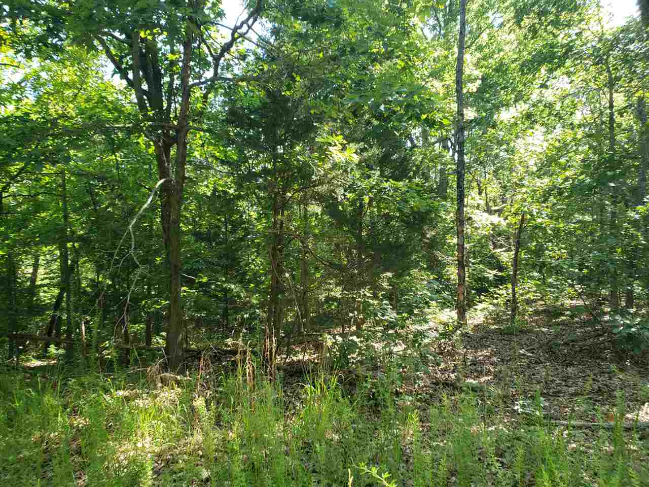 Photo 4 - Vacant Land for sale – L-4, B-2  Wiyot   Cherokee Village, AR