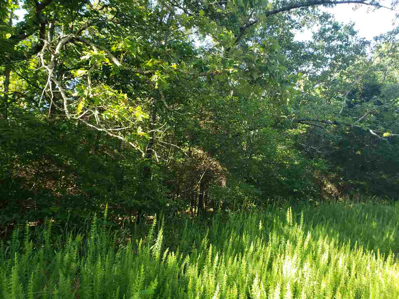 Photo 5 - Vacant Land for sale – L-4, B-2  Wiyot   Cherokee Village, AR