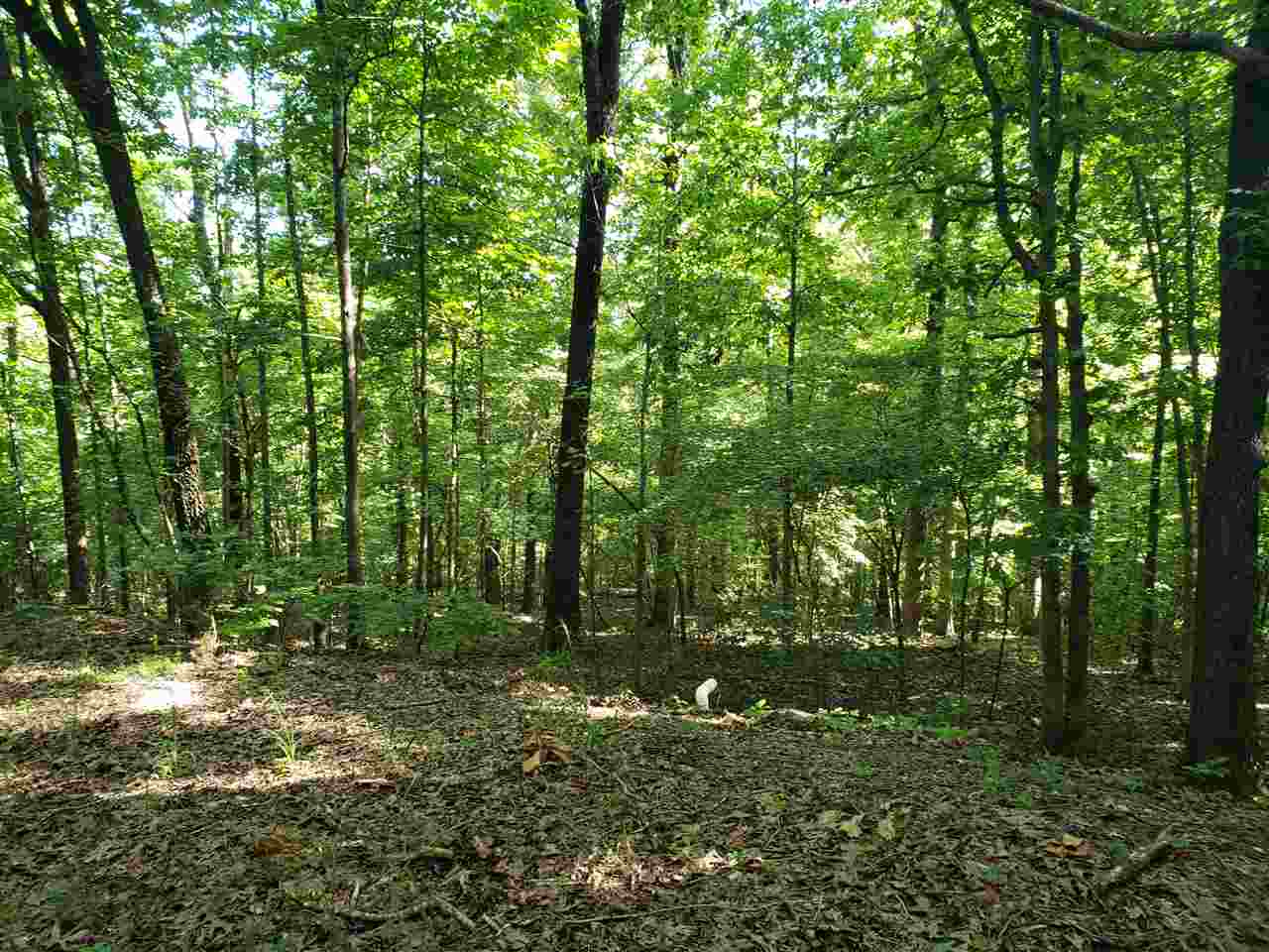 Photo 7 - Vacant Land for sale – L-4, B-2  Wiyot   Cherokee Village, AR