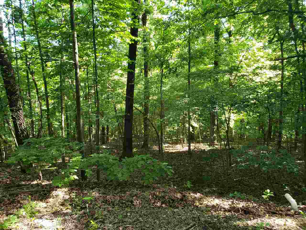 Photo 8 - Vacant Land for sale – L-4, B-2  Wiyot   Cherokee Village, AR