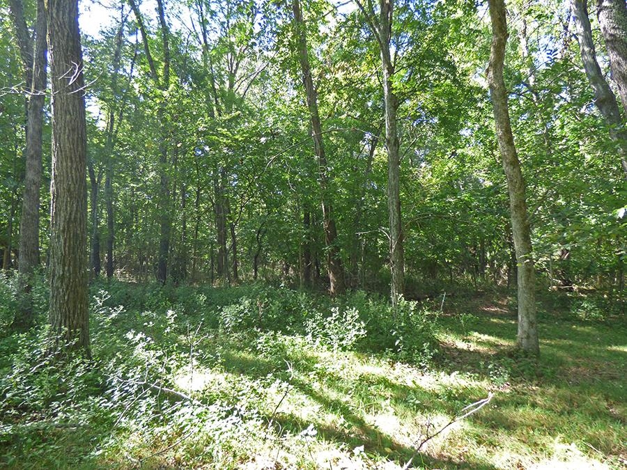 Photo 11 - Vacant Land for sale –   Kere   Cherokee Village, AR