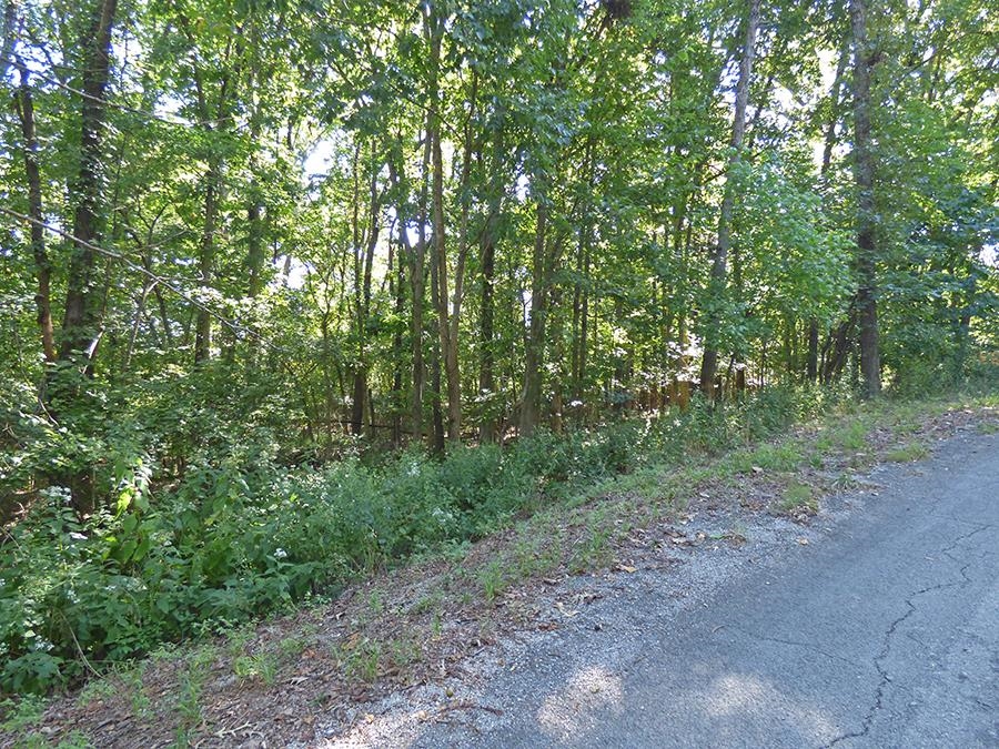 Photo 12 - Vacant Land for sale –   Kere   Cherokee Village, AR