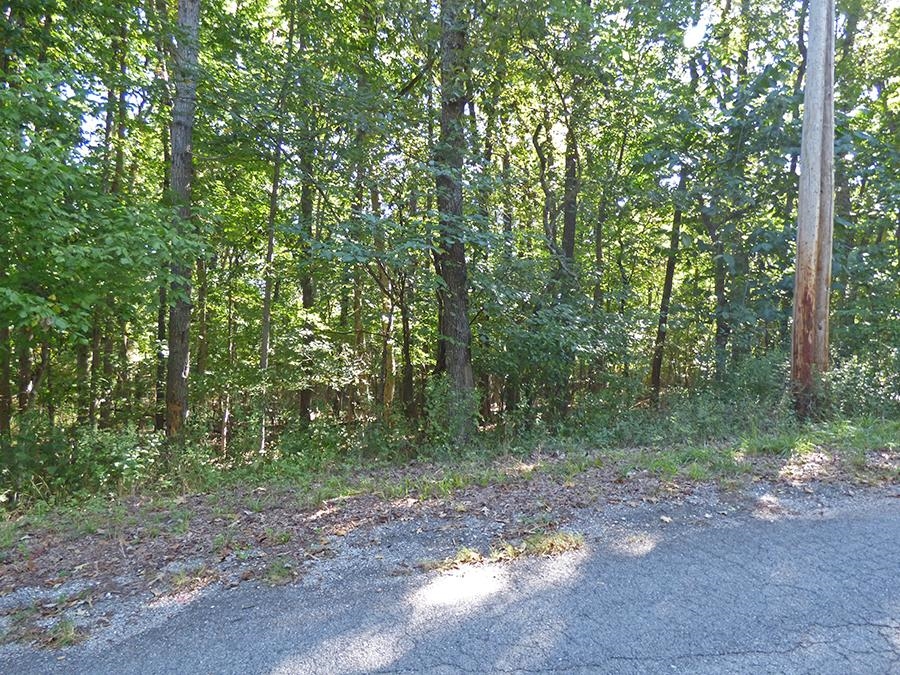 Photo 13 - Vacant Land for sale –   Kere   Cherokee Village, AR