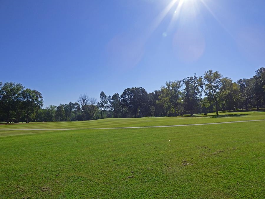 Photo 4 - Vacant Land for sale –   Kere   Cherokee Village, AR