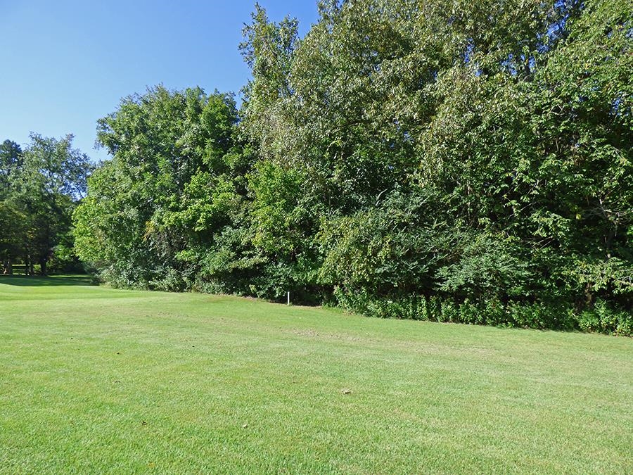 Photo 7 - Vacant Land for sale –   Kere   Cherokee Village, AR