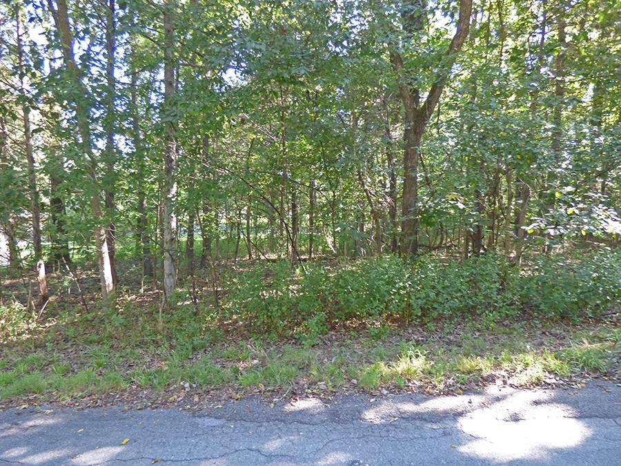 Photo 8 - Vacant Land for sale –   Kere   Cherokee Village, AR