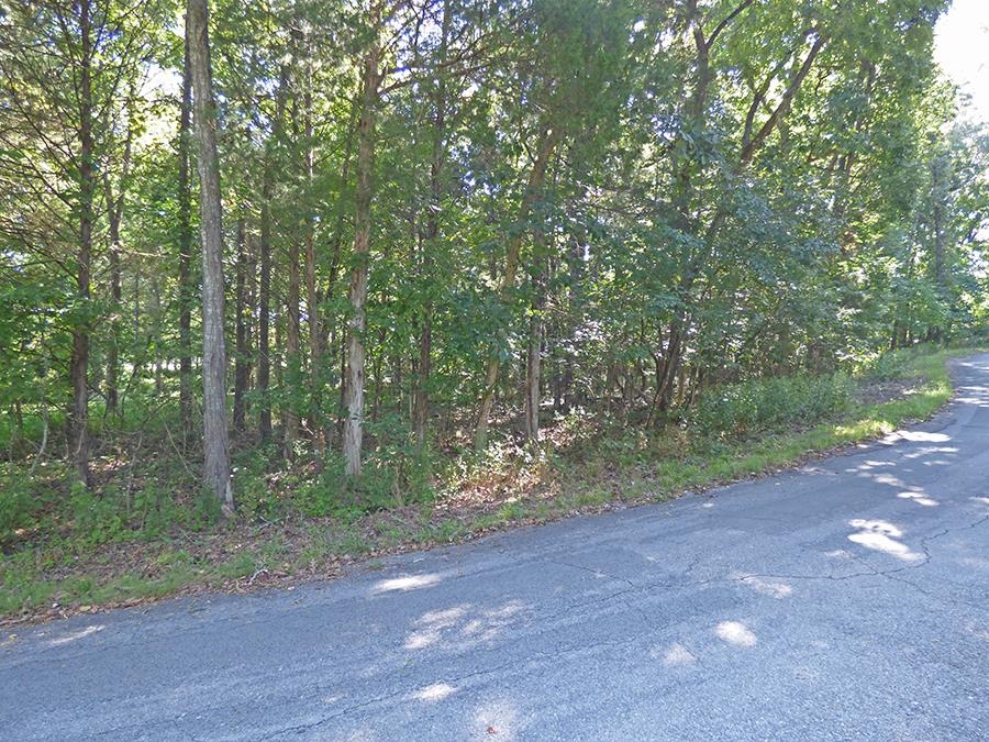 Photo 10 - Vacant Land for sale –   Kere   Cherokee Village, AR
