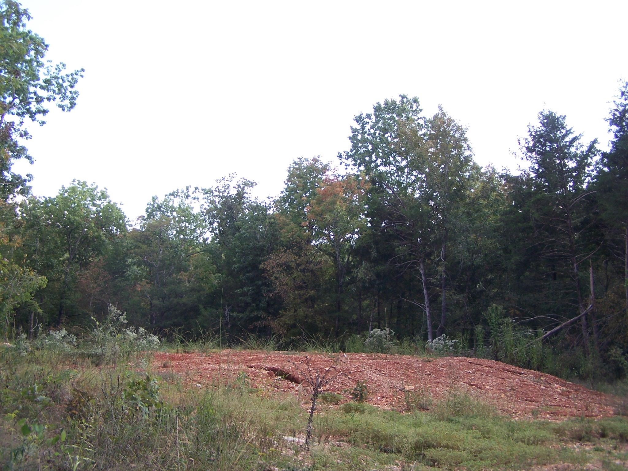 Photo 6 - Vacant Land for sale – 234  Woodlad Hills Rd   Hardy, AR