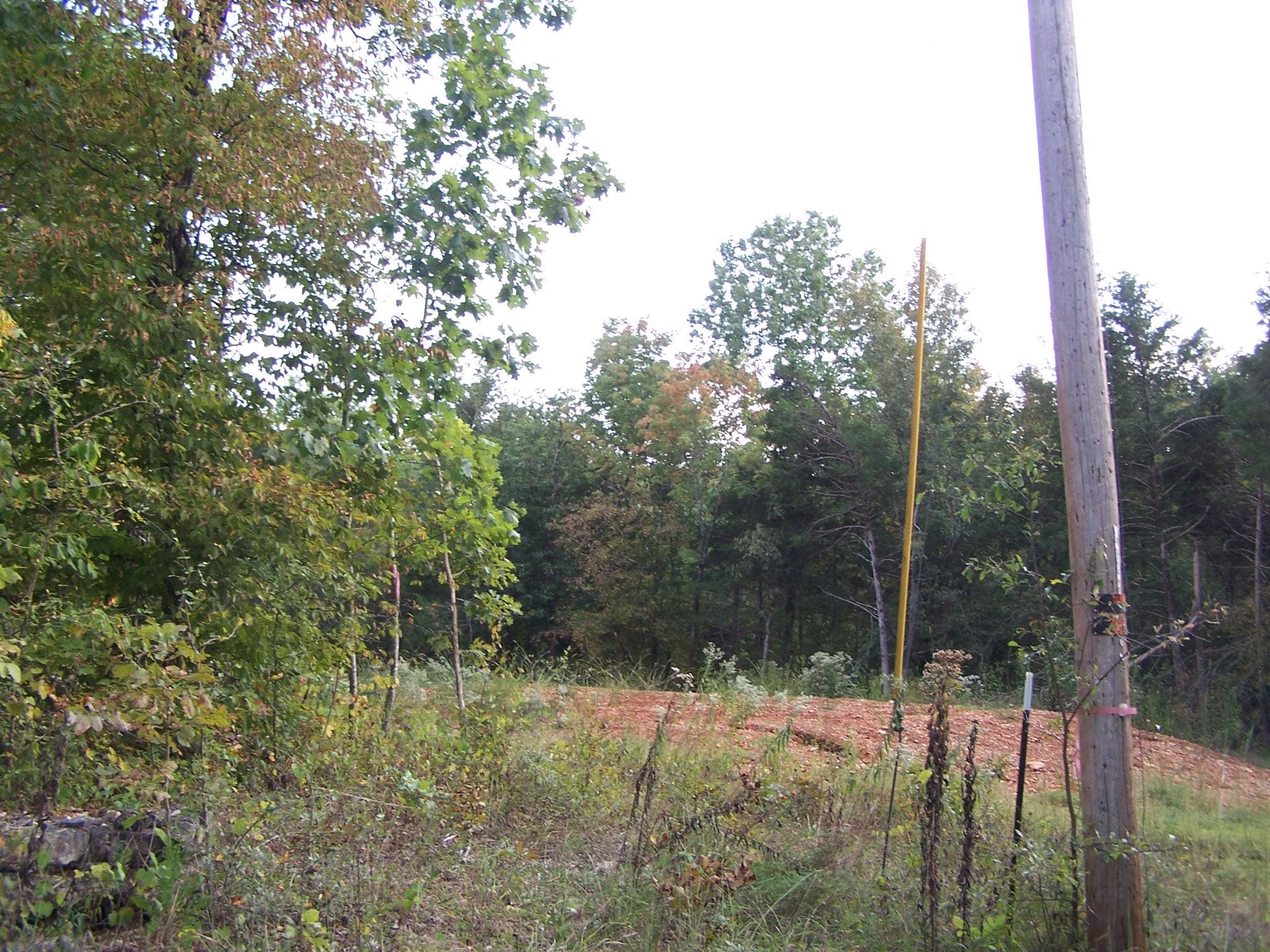 Photo 8 - Vacant Land for sale – 234  Woodlad Hills Rd   Hardy, AR