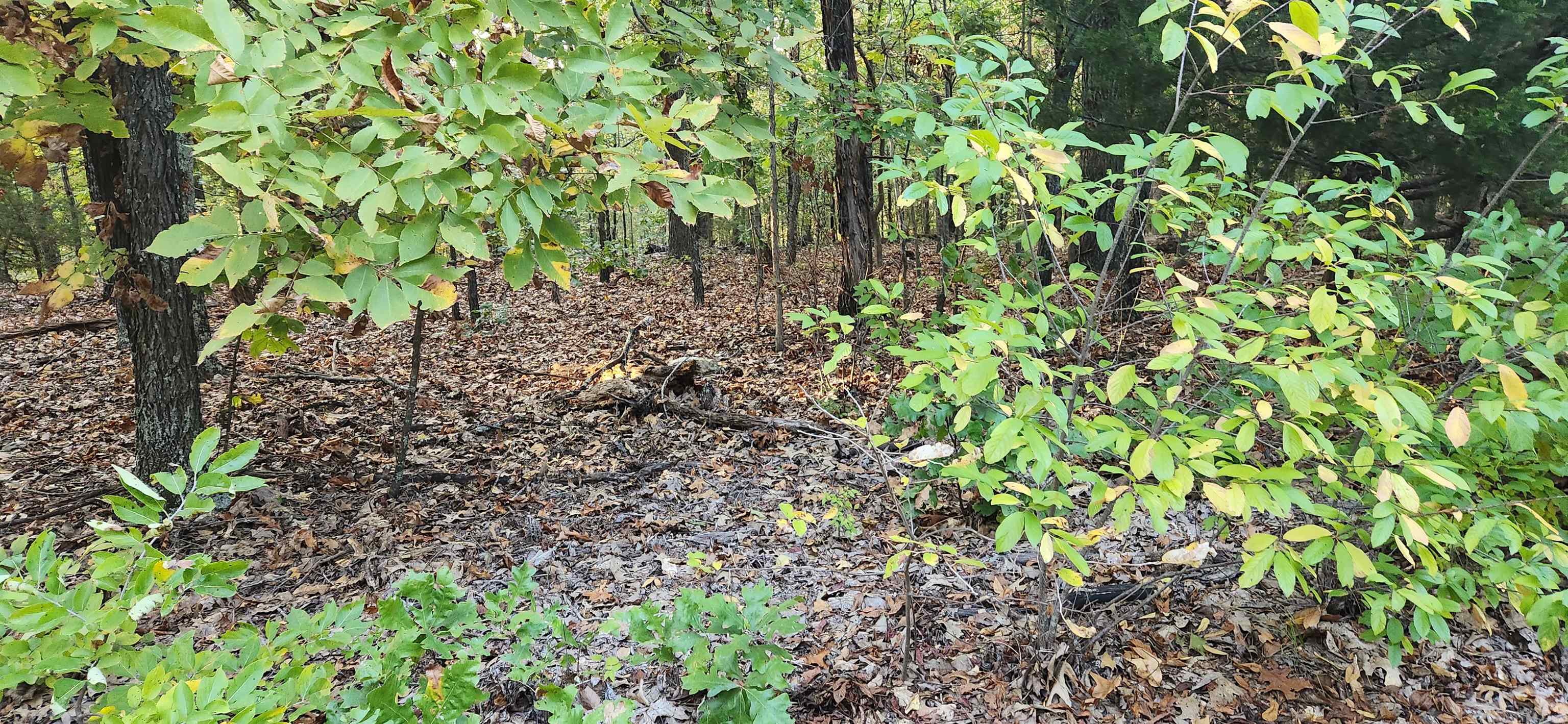 Vacant Land for sale – 9  Konawa Dr   Cherokee Village, AR