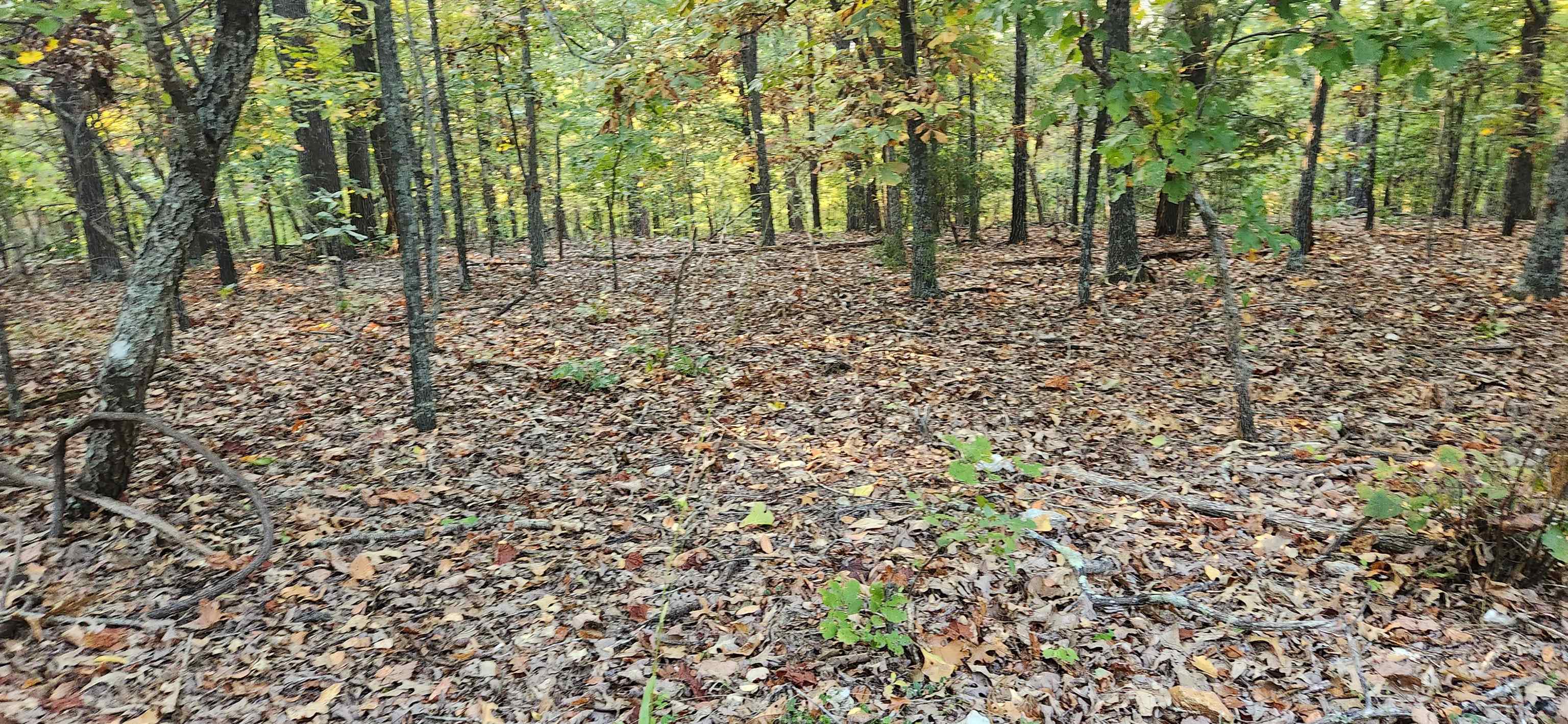 Photo 2 - Vacant Land for sale – 9  Konawa Dr   Cherokee Village, AR