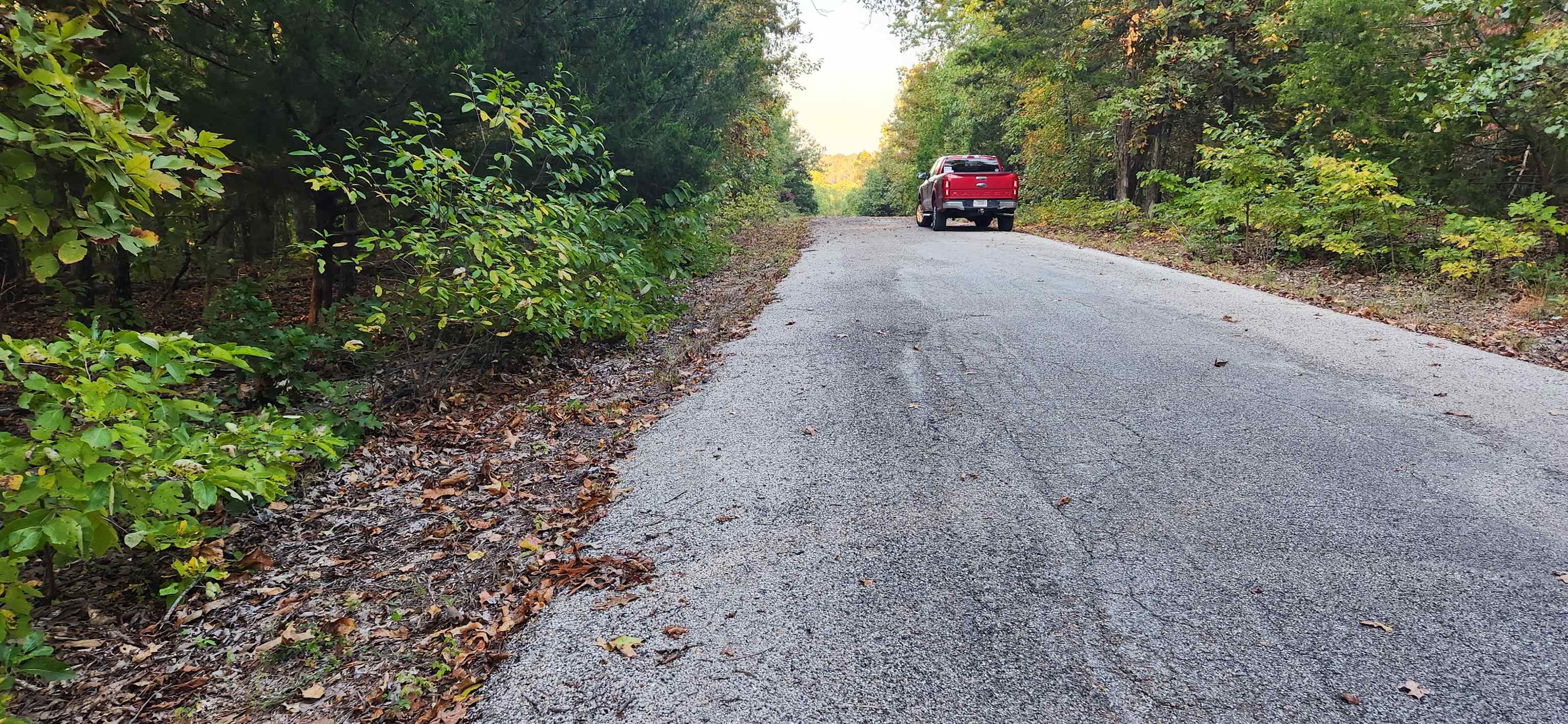 Photo 3 - Vacant Land for sale – 9  Konawa Dr   Cherokee Village, AR