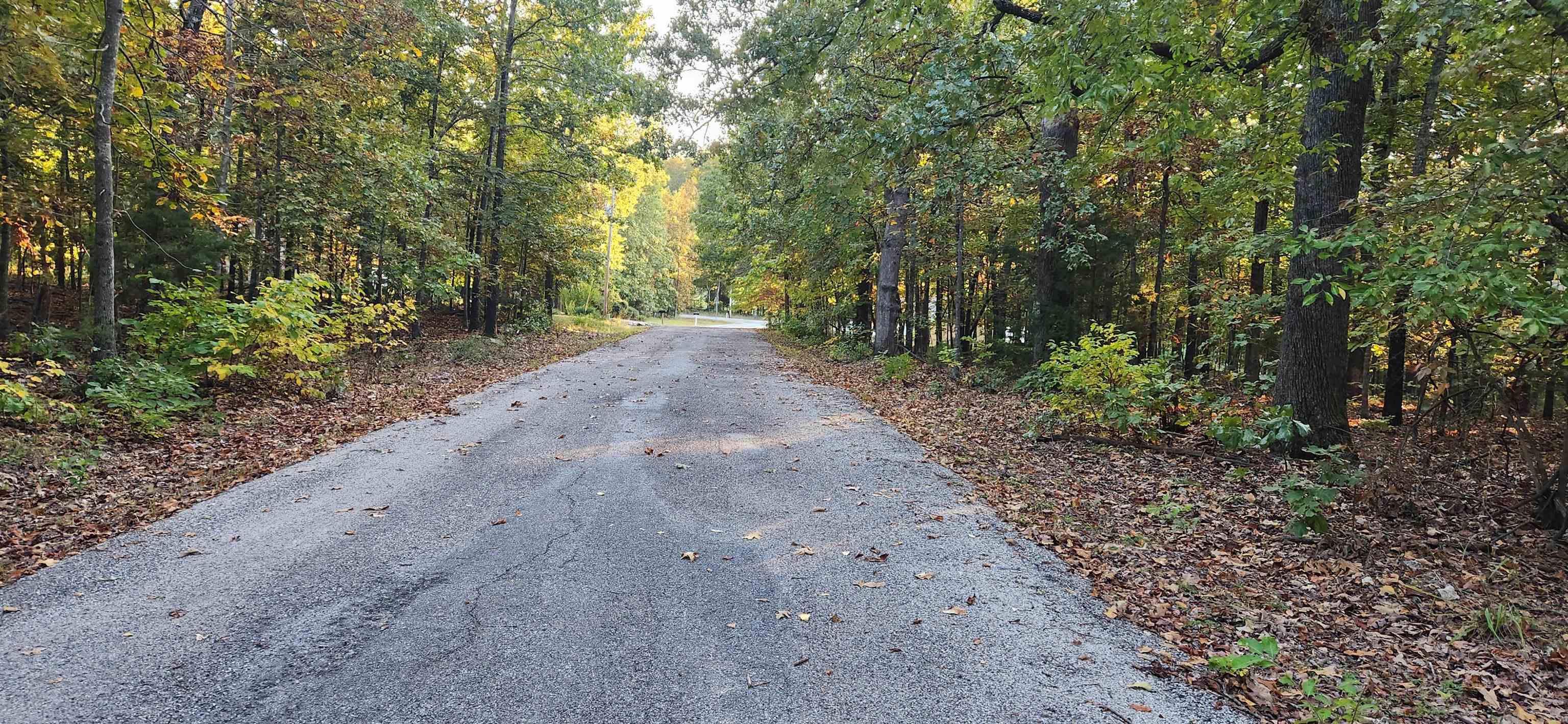 Photo 4 - Vacant Land for sale – 9  Konawa Dr   Cherokee Village, AR