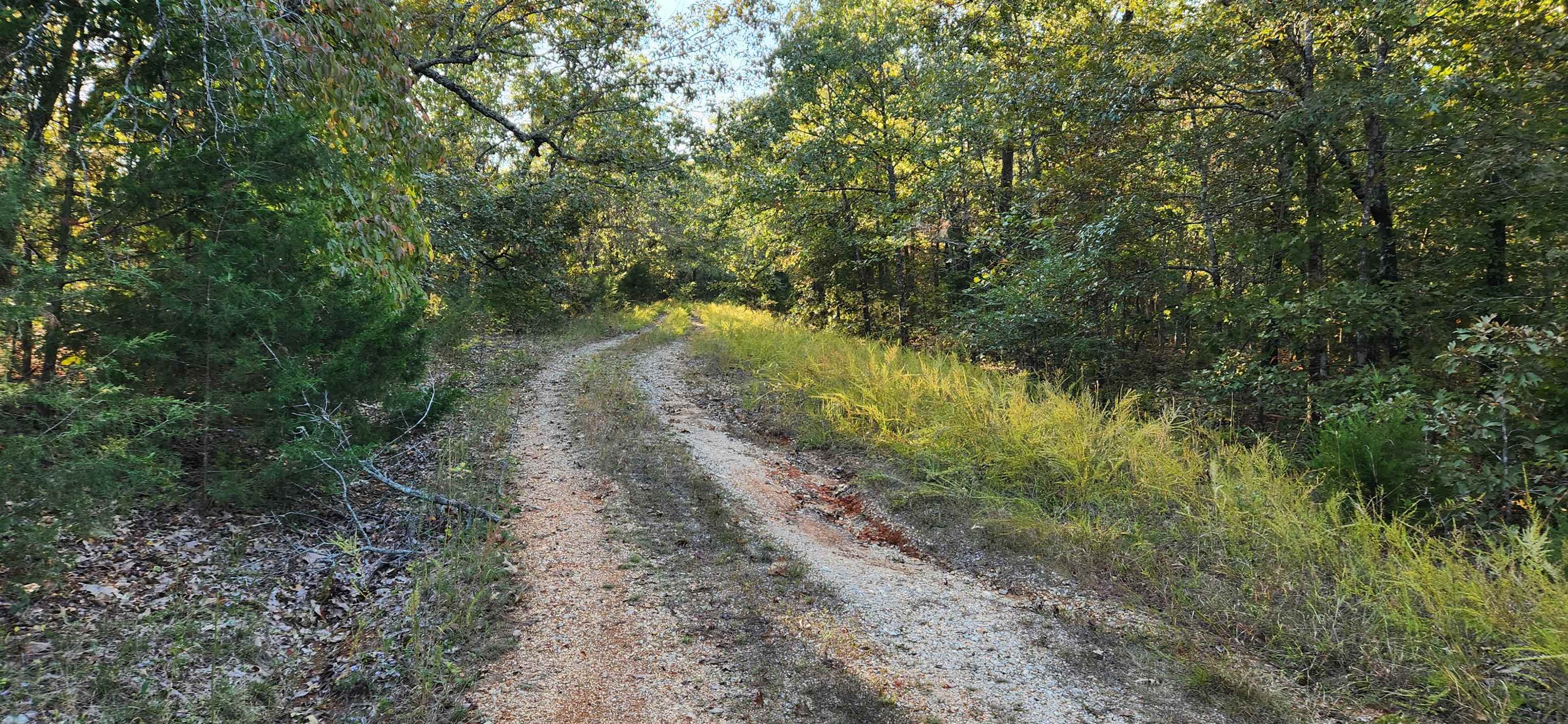 Photo 2 - Vacant Land for sale – L-1, B-2  Nokona   Cherokee Village, AR