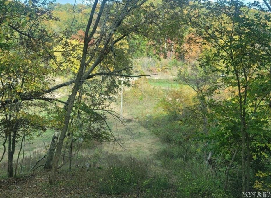 Vacant Land for sale – TBD  Bear Hollow   Pineville, MO