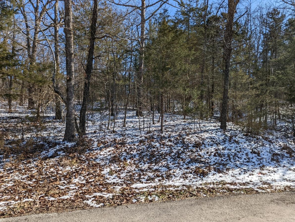 Photo 7 - Vacant Land for sale – L-11 & 12, B17  Hiawatha   Cherokee Village, AR
