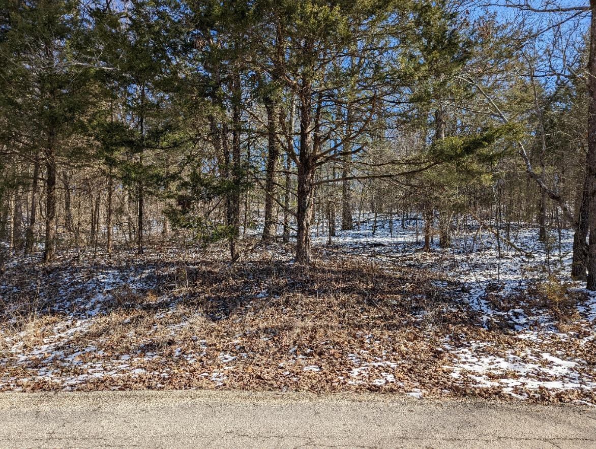 Photo 9 - Vacant Land for sale – L-11 & 12, B17  Hiawatha   Cherokee Village, AR