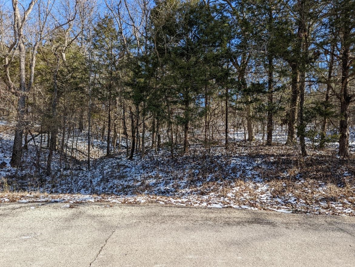 Photo 10 - Vacant Land for sale – L-11 & 12, B17  Hiawatha   Cherokee Village, AR