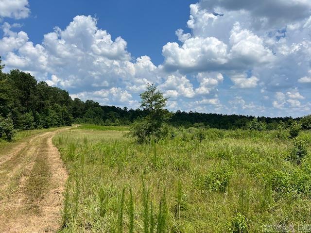 Photo 17 - Vacant Land for sale – xxxx  Hwy 26 & 379   Murfreesboro, AR
