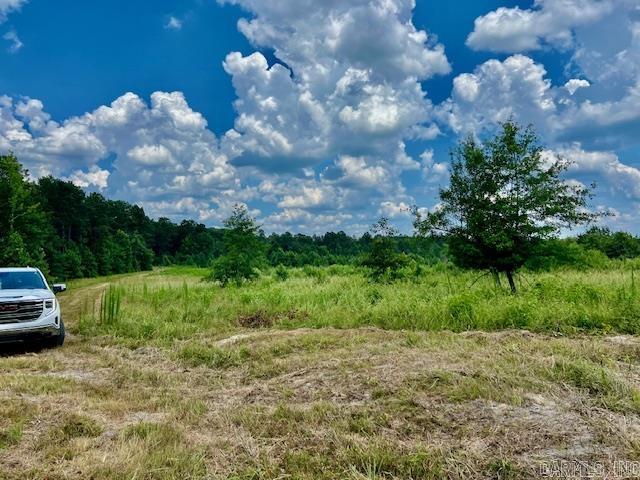 Photo 19 - Vacant Land for sale – xxxx  Hwy 26 & 379   Murfreesboro, AR