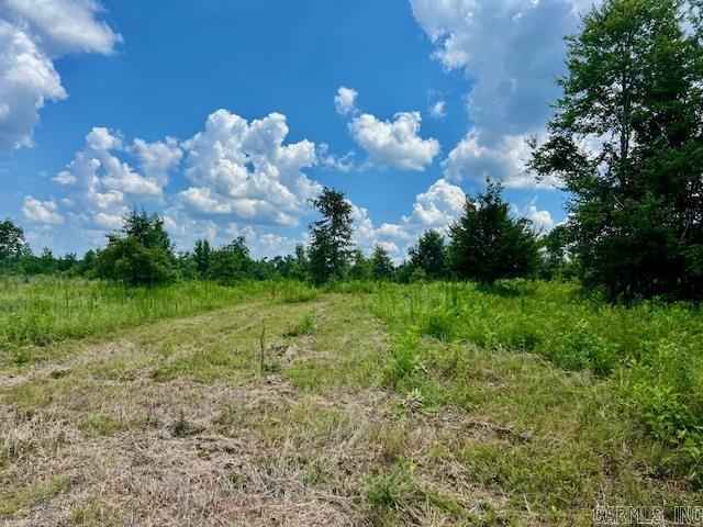 Photo 20 - Vacant Land for sale – xxxx  Hwy 26 & 379   Murfreesboro, AR