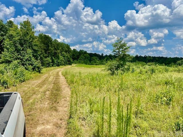 Photo 5 - Vacant Land for sale – xxxx  Hwy 26 & 379   Murfreesboro, AR
