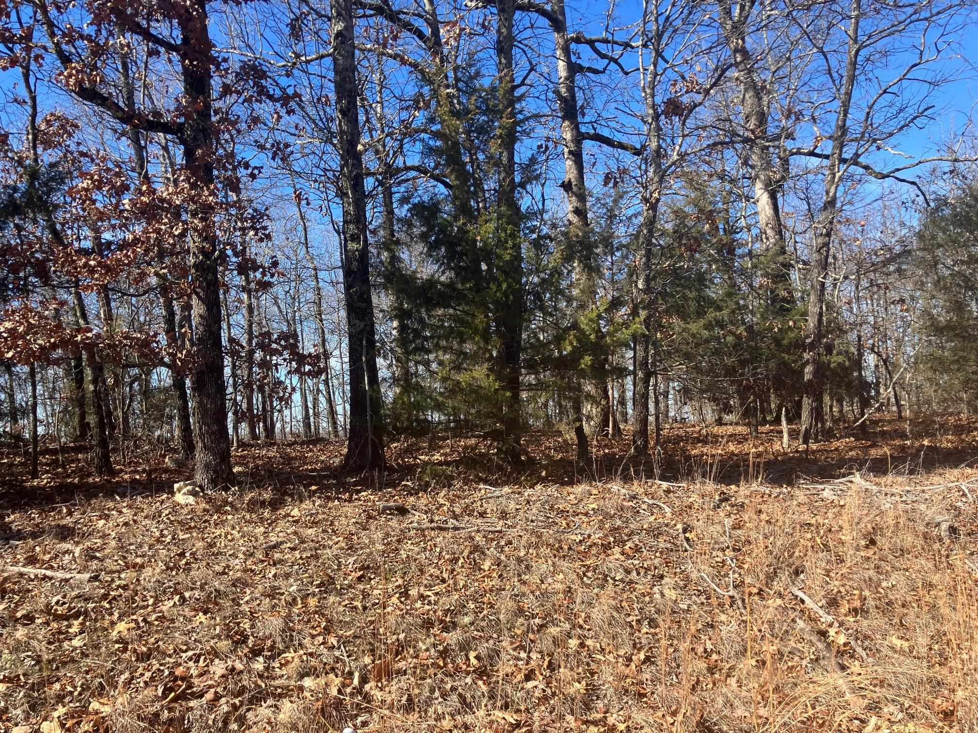 Photo 11 - Vacant Land for sale – 605  Lone Oak Road   Williford, AR