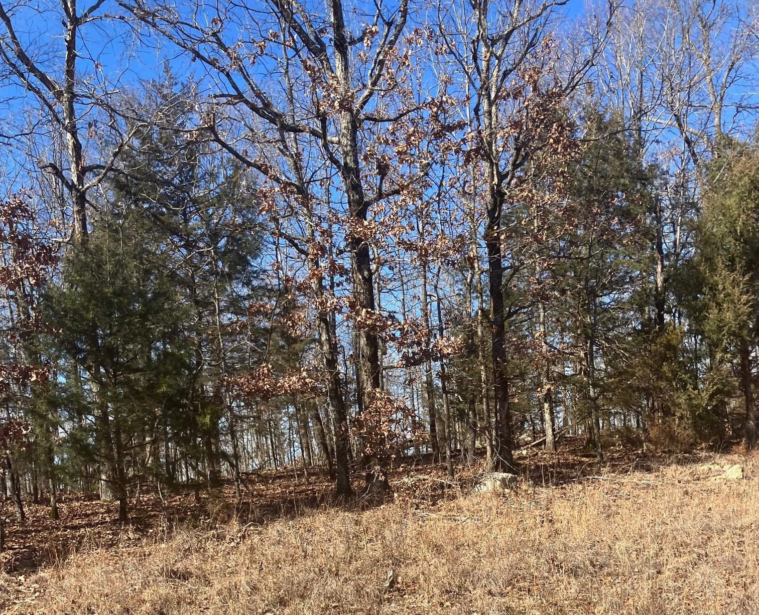 Photo 12 - Vacant Land for sale – 605  Lone Oak Road   Williford, AR