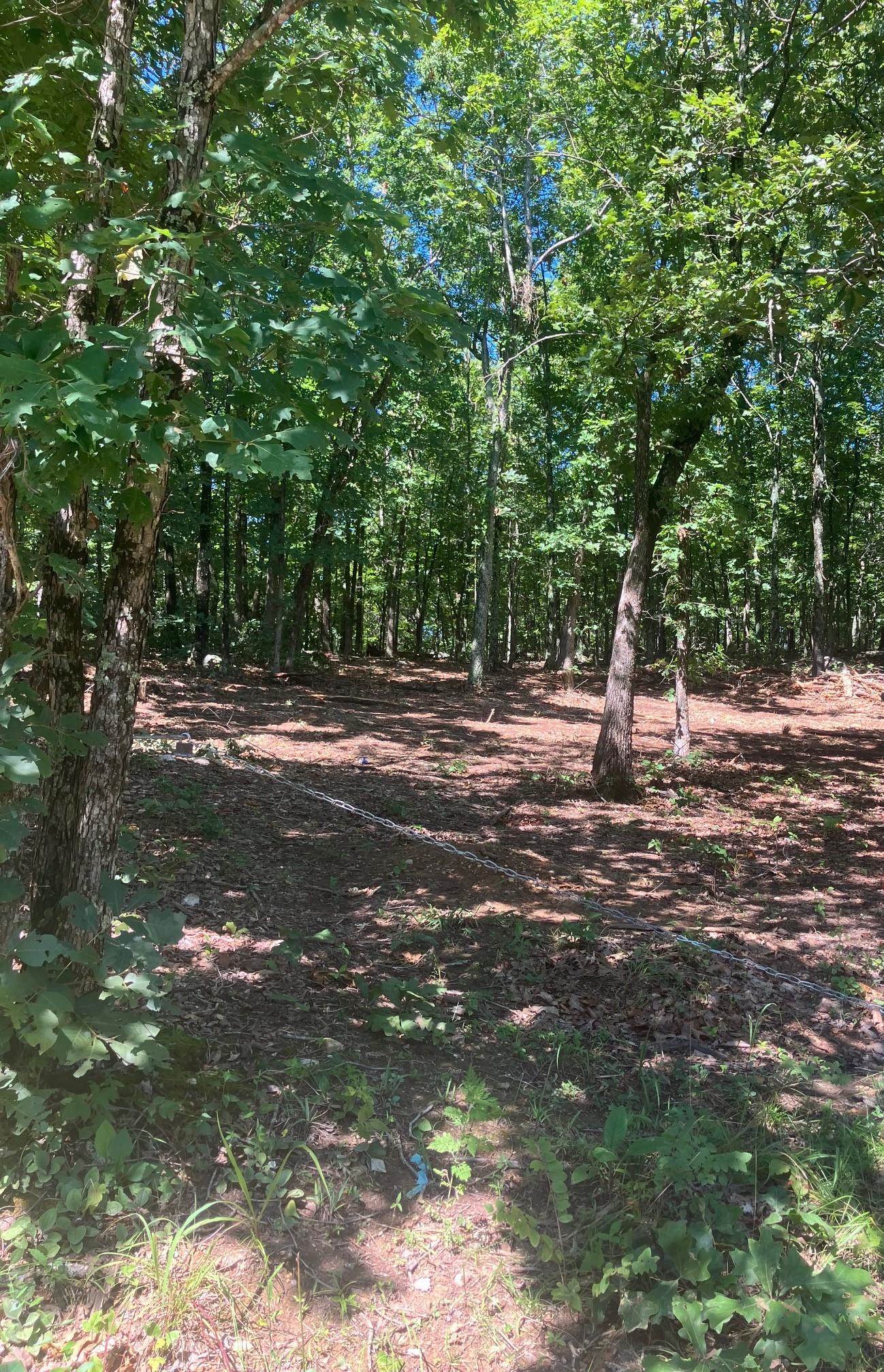 Photo 3 - Vacant Land for sale – 605  Lone Oak Road   Williford, AR