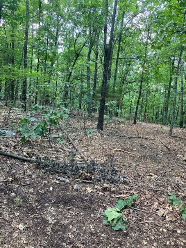 Photo 4 - Vacant Land for sale – 605  Lone Oak Road   Williford, AR